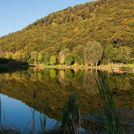 In Rieden With Swimming Pool Holiday home *